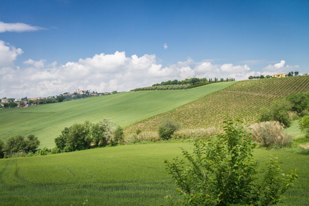 Il Gladiolo Bed & Breakfast San Marcello  Exterior photo
